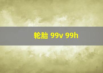 轮胎 99v 99h